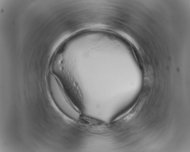 X0000067931007200605112029