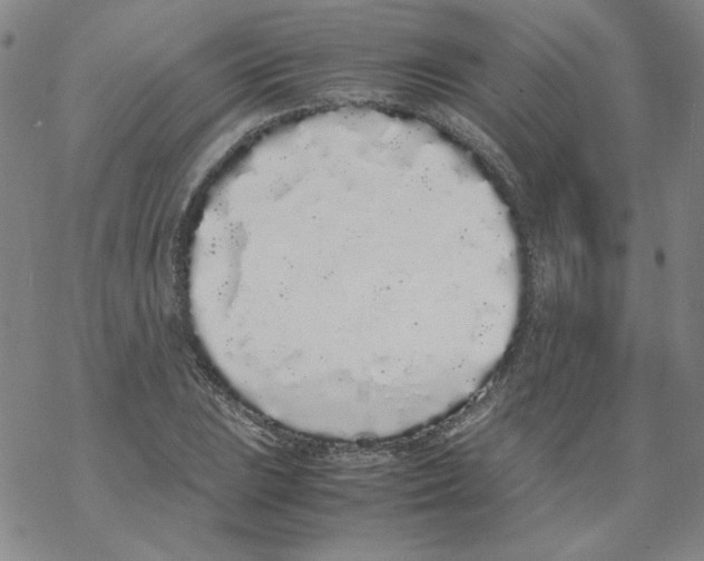 X0000067931023200605112028
