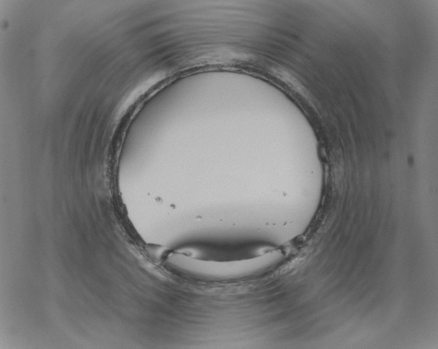 X0000067931026200605112028