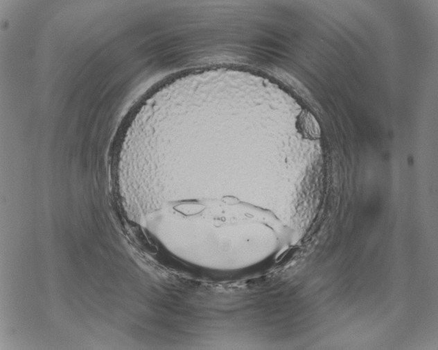 X0000067931031200605112029