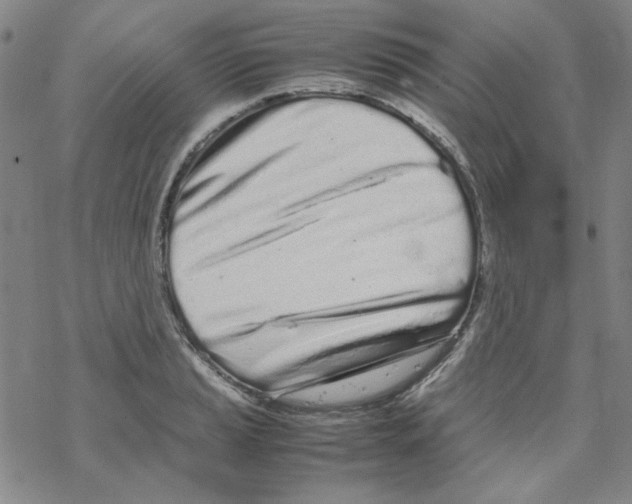 X0000067931037200605112029