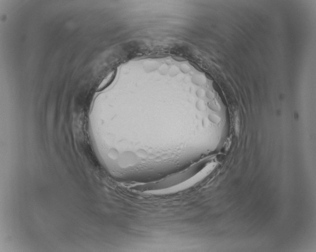 X0000067931059200605112028