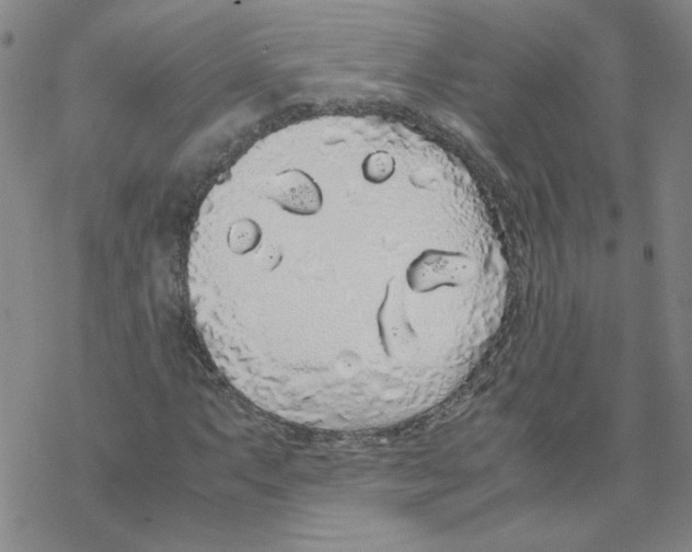 X0000067931063200605112028