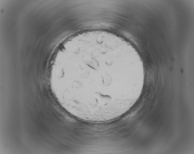 X0000067931071200605112028