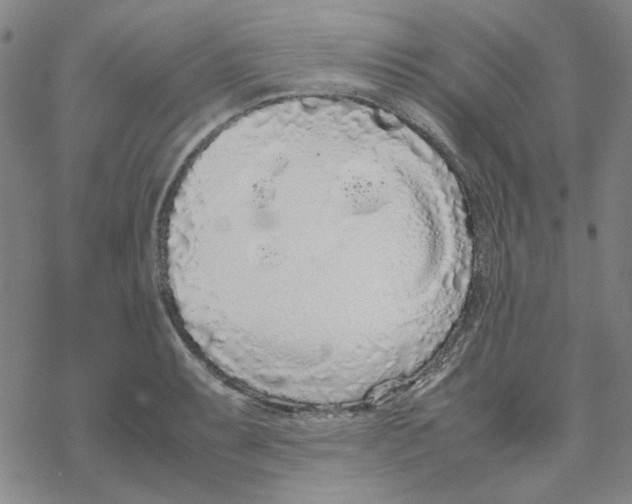 X0000067931087200605112028