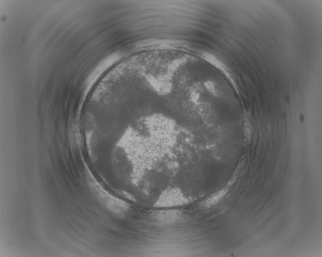 X0000067931090200605112028
