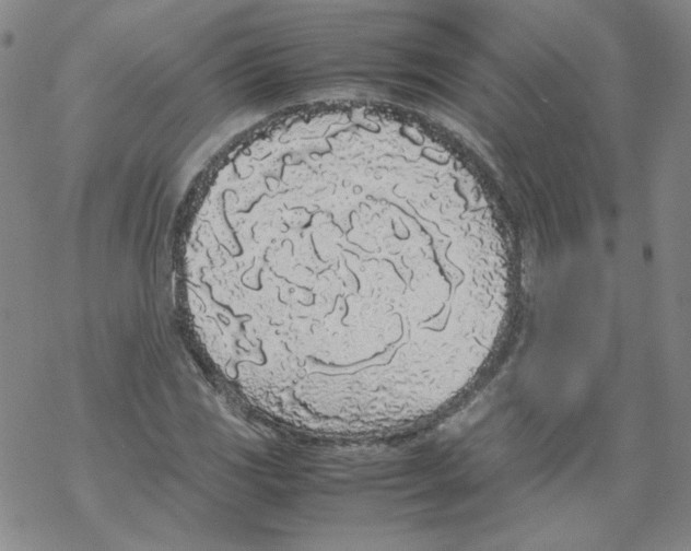 X0000067931117200605112027