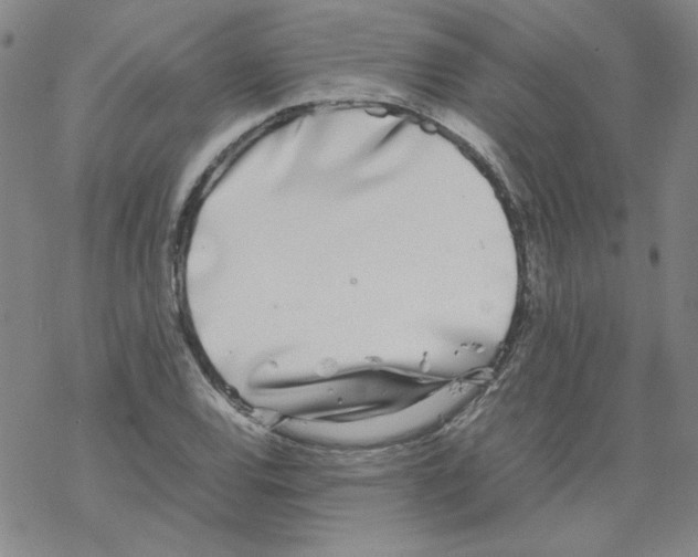X0000067931120200605112027