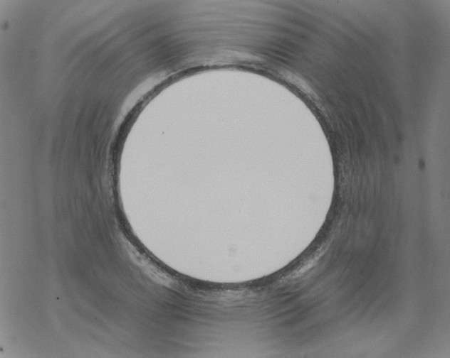 X0000067931122200605112027