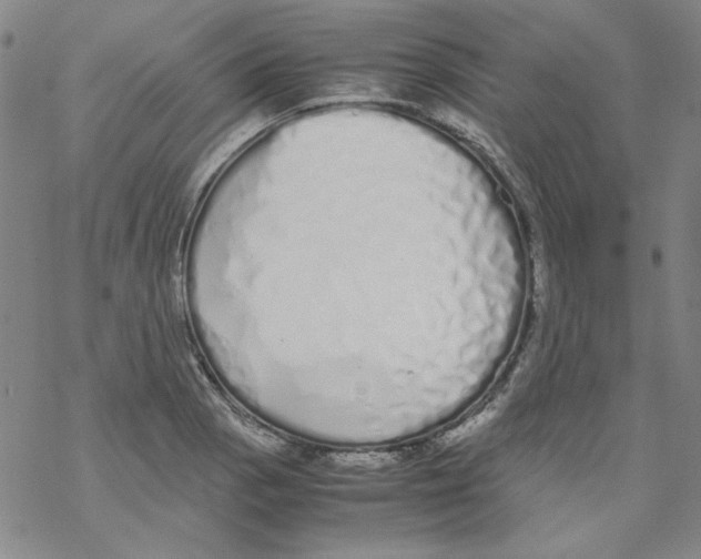 X0000067931129200605112027