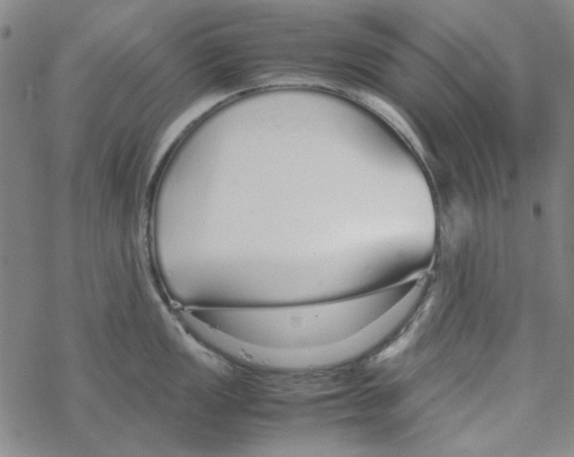 X0000067931149200605112027