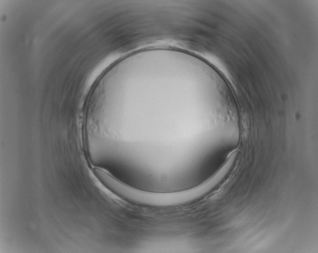 X0000067931151200605112027