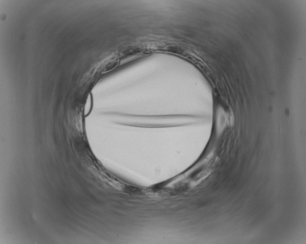 X0000067931155200605112027