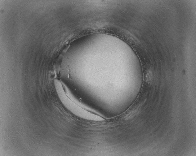 X0000067931156200605112027