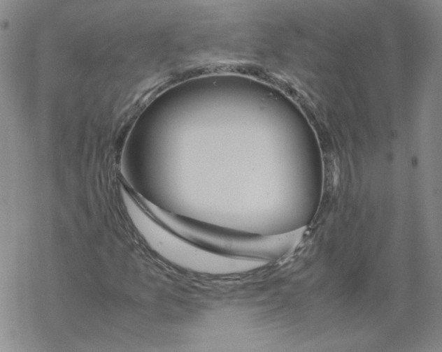 X0000067931157200605112027