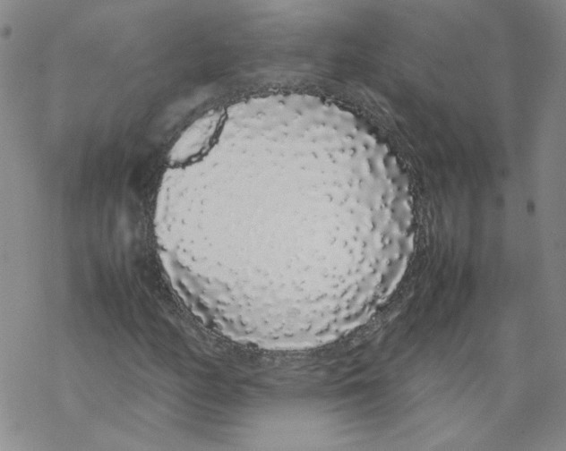 X0000067931158200605112027