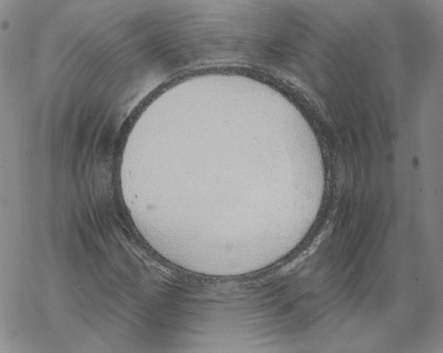 X0000067931162200605112026