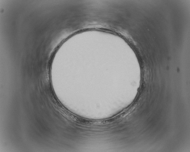 X0000067931167200605112026