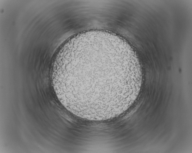 X0000067931170200605112026