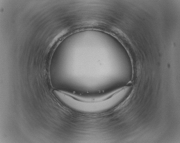 X0000067931210200605112025
