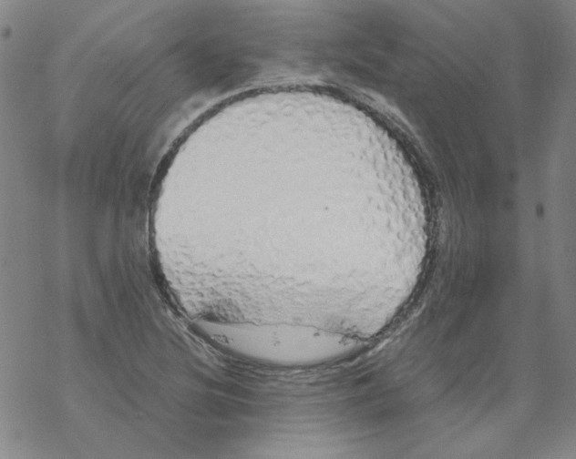 X0000067931220200605112025