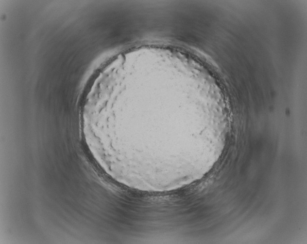 X0000067931223200605112025