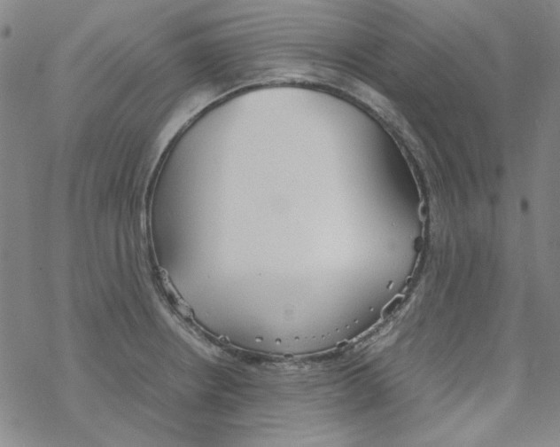 X0000067931234200605112026