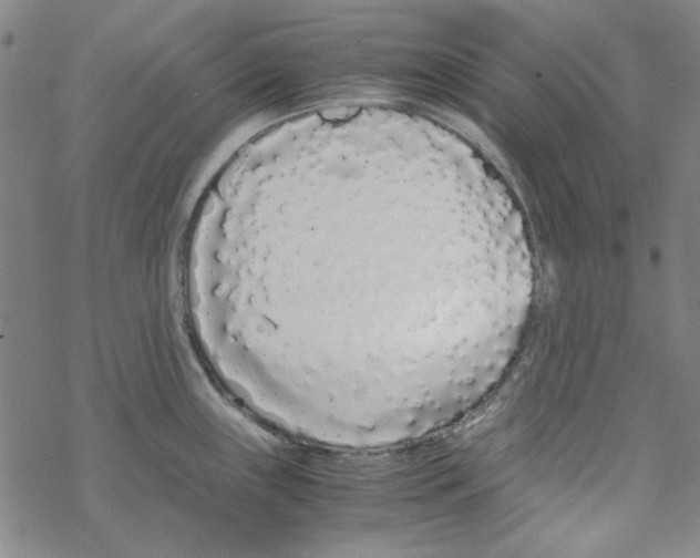 X0000067931243200605112026