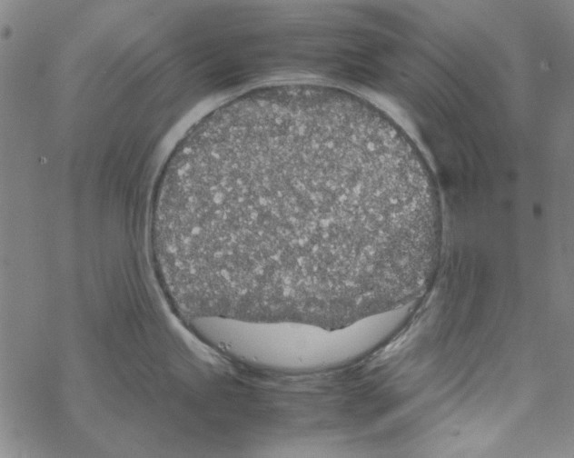 X0000067931245200605112026