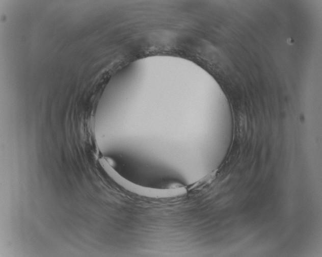 X0000067931250200605112025