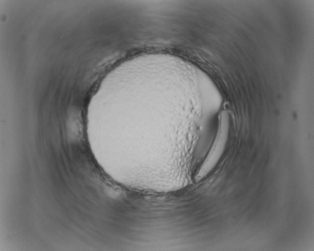 X0000067931252200605112025