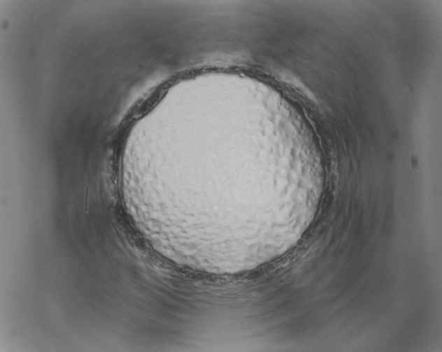 X0000067931256200605112025
