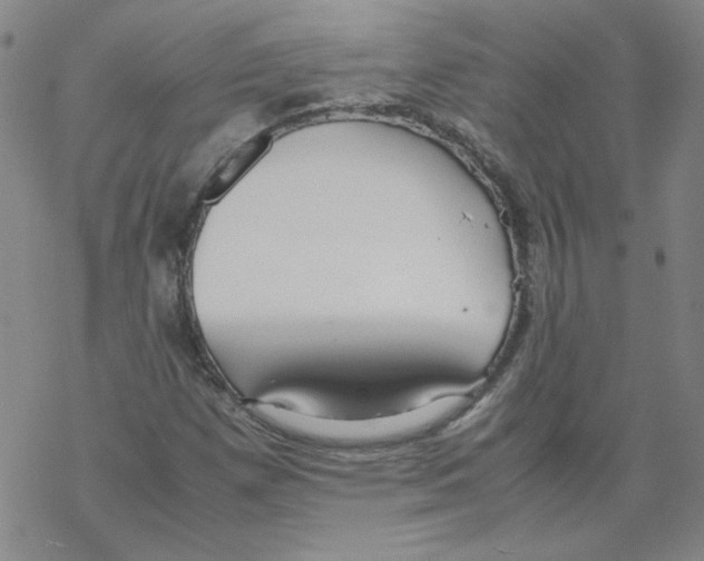X0000067931257200605112025