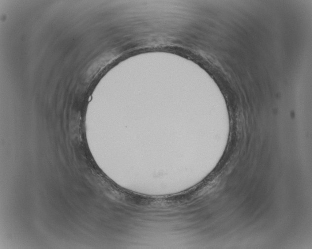 X0000067931265200605112025