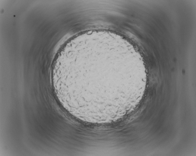 X0000067931275200605112025