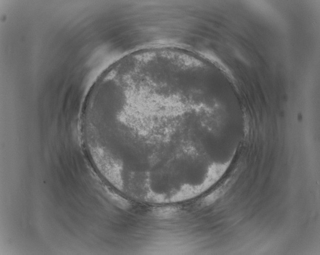 X0000067931278200605112025