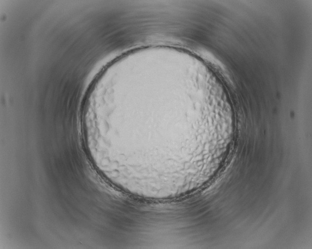 X0000067931280200605112024