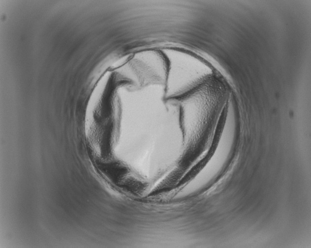 X0000067931289200605112024