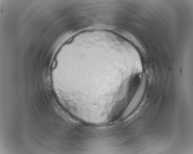 X0000067931292200605112024