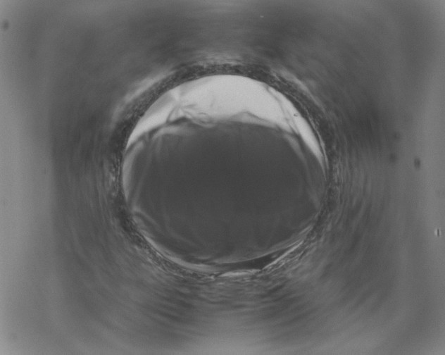X0000067931303200605112024