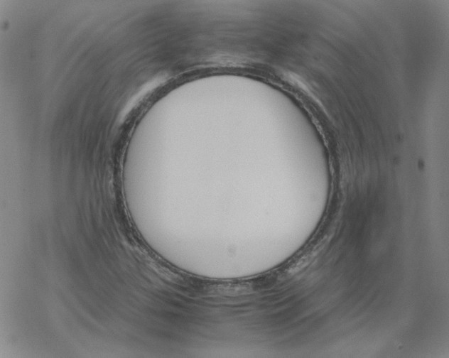 X0000067931307200605112024