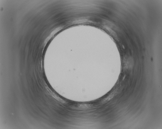 X0000067931322200605112024