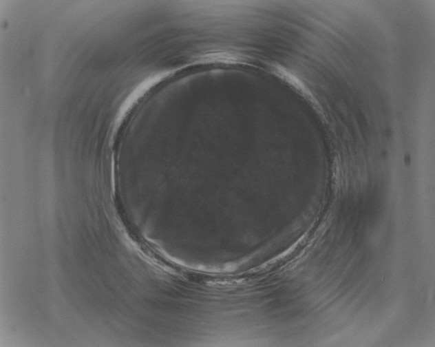 X0000067931323200605112024