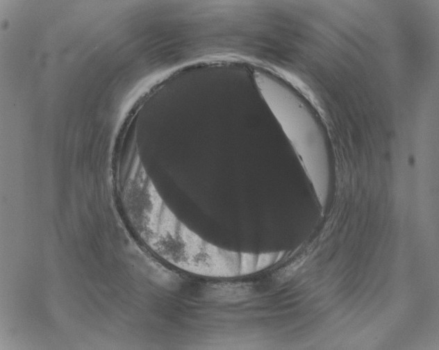 X0000067931327200605112024