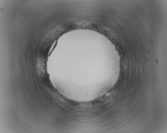 X0000067931346200605112023