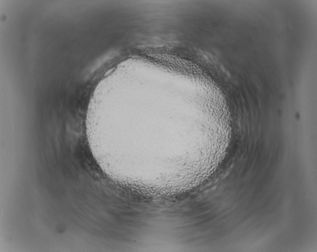 X0000067931350200605112023