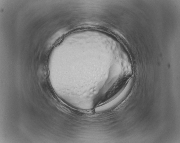 X0000067931355200605112023