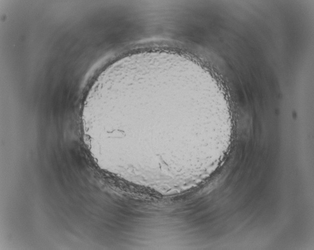 X0000067931358200605112023