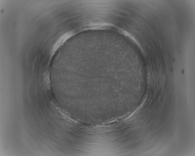 X0000067931362200605112023