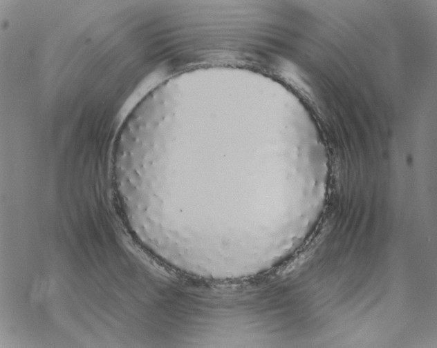 X0000067931378200605112023